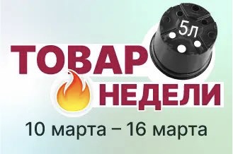 Товар недели № 11